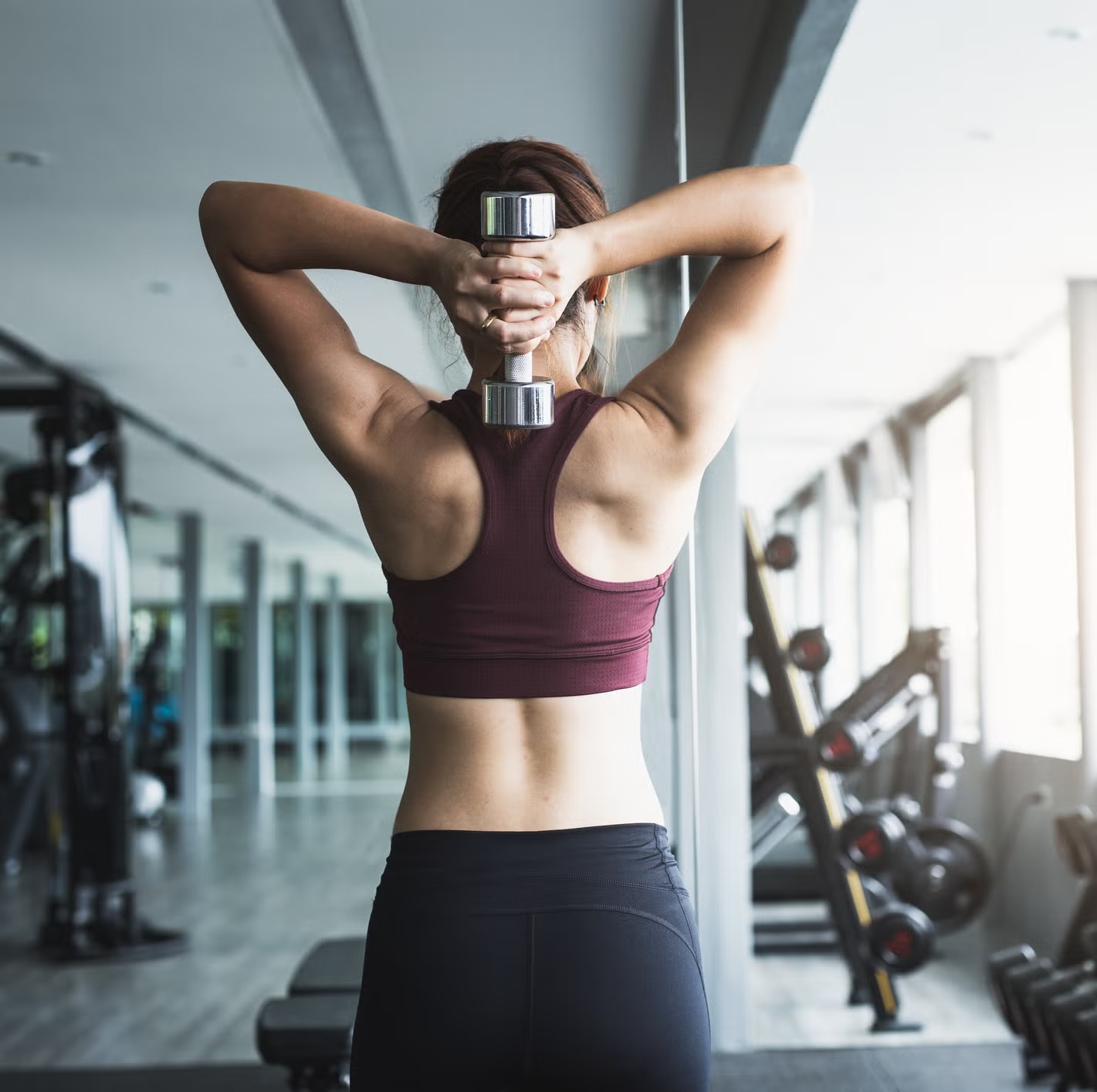 신진대사 과학적 설명